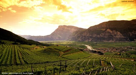 Augsburg - Riva del Garda klassisch Weinfeld