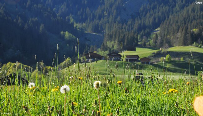 Radweg-Sinfonie Tauernblick - von Innsbruck via Salzburg nach Villach