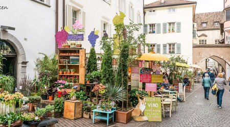 Via Claudia Augusta - Alpenüberquerung von Füssen nach Quarto d’Altino/Venedig – sportlich