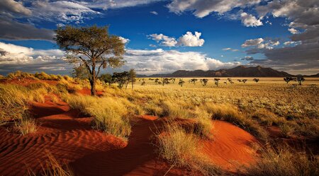 Radreise zu den Höhepunkten von Namibia - 18 Tage