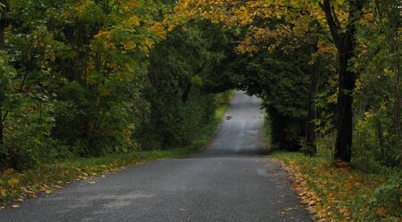 Radtour durch 4 Länder Weg