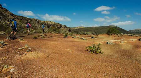 Vulcan Walk Lanzarote - Eine neue Herausforderung für Wanderliebhaber