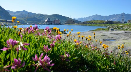 Gotthardspass Panorma mit See