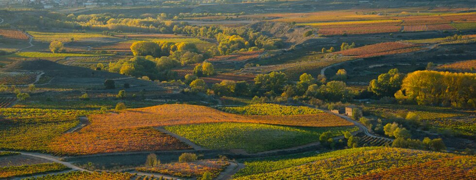 Spanien Rioja Weinberge im Herbst