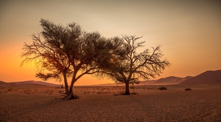 Radreise in den Süden von Namibia – 14 Tage