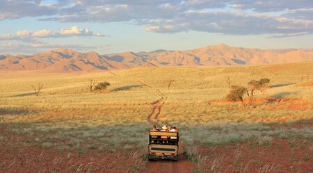 Namibia Safari