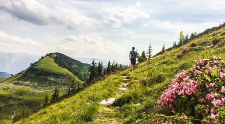 Gipfelwanderung Salzkammergut