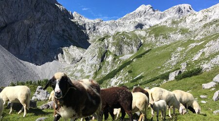 Vom Königssee zum Wörthersee - Alpenüberquerung 8 Tage