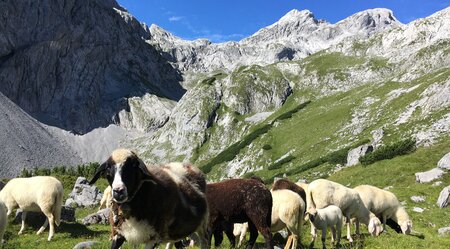 Vom Königssee zum Millstättersee - Alpenüberquerung 8 Tage