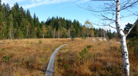 Bregenzerwald Weg 