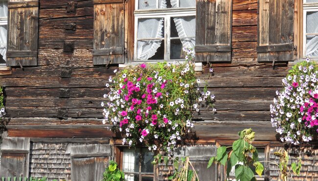 Bregenzerwald traditionelles Almhaus