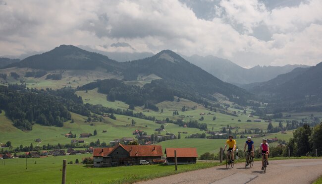 Alpenpanorama Route - Atemberaubende Pässefahrt 8 Tage