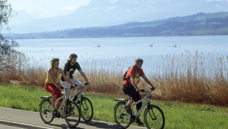 Alpenüberquerung entlang der Nord-Süd Route: Basel - Lugano