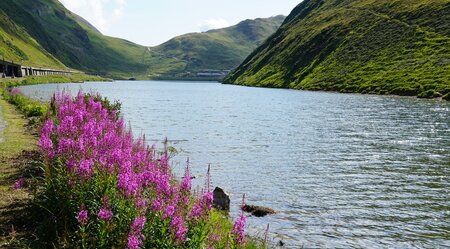 Flusslandschaft Rhein