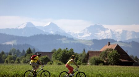 Aare-Radweg Panorama