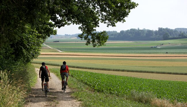 Aare-Radweg Fahrweg 