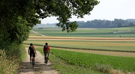 Aare-Route: Entlang des größten Schweizer Flusses