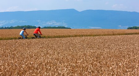 Mittelland-Route: Aare, Drei-Seen-Land & Genfersee 9 Tage