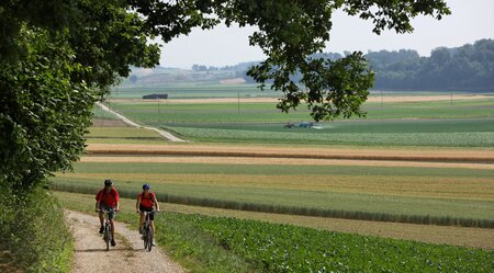 Mittellandroute Wiesen und Schotterweg