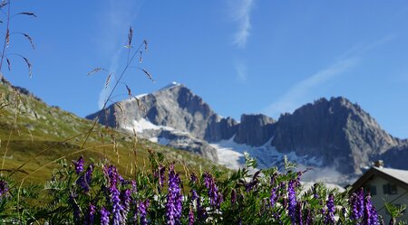 Alpenpanorama Rhone-Radweg