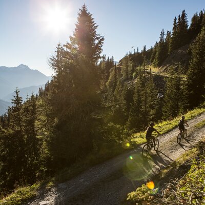 Everest Route Tirol Waldweg | © Inntour