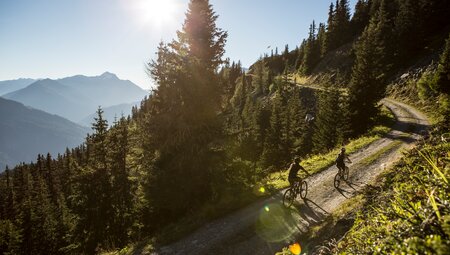 Everest Route Tirol Waldweg