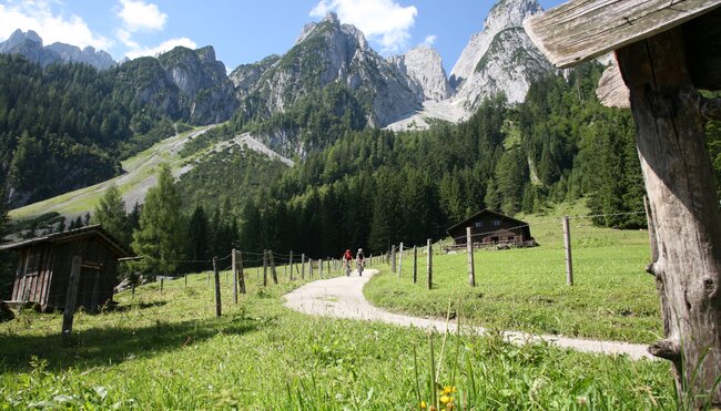 Salzkammergut Gosau Alm