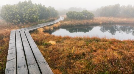 Deutschlands Wildnis - Auf verborgenen Wegen im Nationalpark Bayerischer Wald