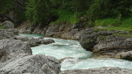 Deutschlands Wildnis - naturnah im Nationalpark Bayerischer Wald