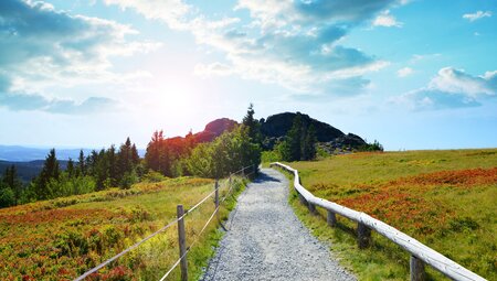 Deutschlands Wildnis - naturnah im Nationalpark Bayerischer Wald