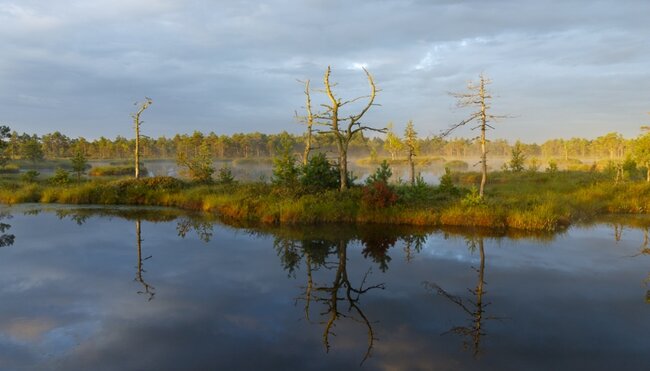 Wandern in Estland individuell