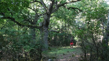 Wandern in Estland individuell