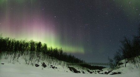 Silvester Husky Trekking