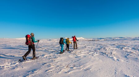 Genusstour Lappland Bergtour 