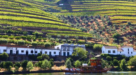 Douro Tal