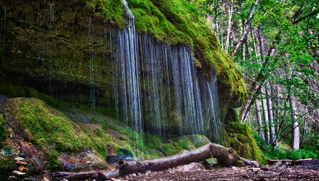 Die schönsten Wanderungen im Schwarzwald - Gipfel, Seen und Schluchten