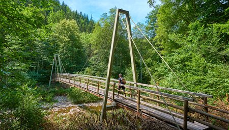 Die schönsten Wanderungen im Schwarzwald - Gipfel, Seen und Schluchten
