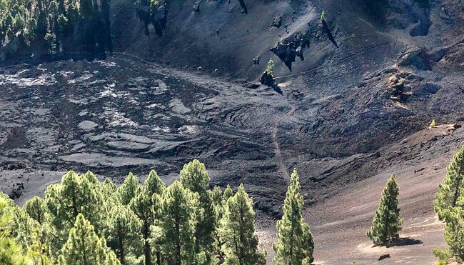 Teneriffa und La Palma - Zwei Perlen im Atlantik