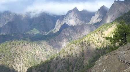 La Palma Bejenado