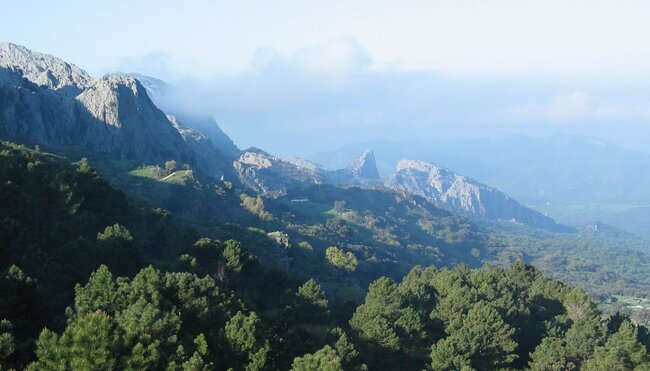 Andalusien - Sierra de Grazalema