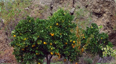 Gran Canaria - Wandern auf dem Miniaturkontinent