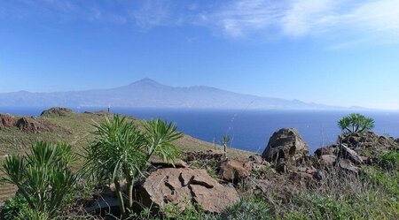 Teneriffa - Vulkanische Schönheit