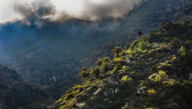 La Gomera sportlich erwandern