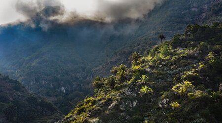 La Gomera sportlich erwandern