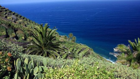 La Gomera sportlich erwandern