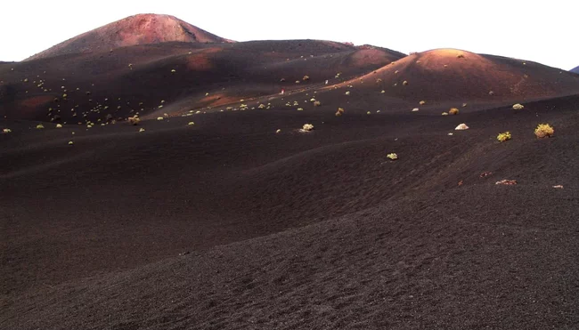 La Palma: Juwel der Vegetation