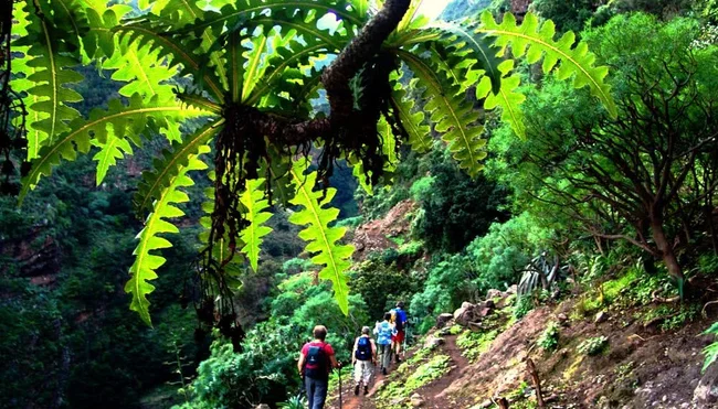 La Palma - Juwel der Vegetation 