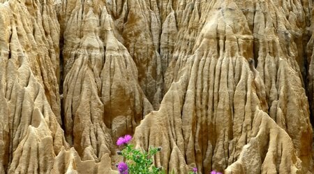 Den Alentejo auf verborgenen Wegen entdecken