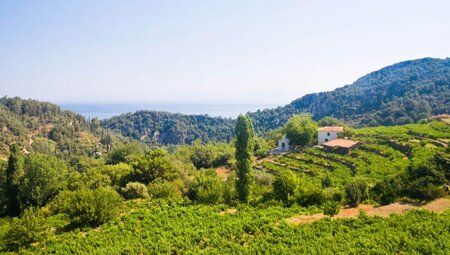 Samos Highlights erwandern