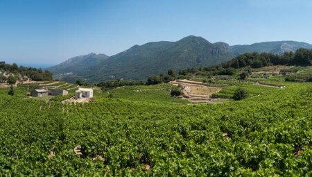 Samos Highlights erwandern